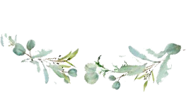 Fynbosrust - explore fauna and flora in the Mount Bain Nature Reserve