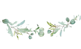 Fynbosrust - explore fauna and flora in the Mount Bain Nature Reserve